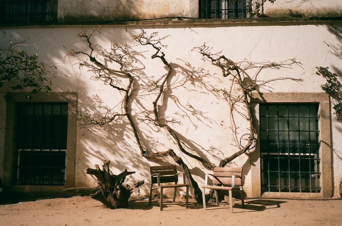 One Person’s Trash, Another Person’s&nbsp;Treasure.